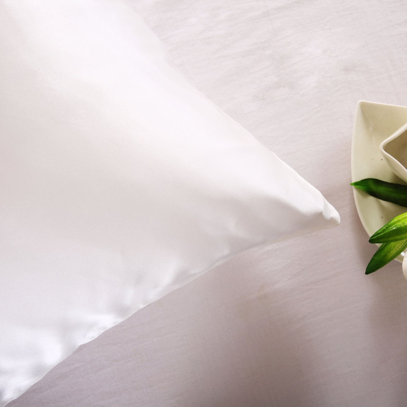 100% natuur moerbeizijde kusse - Silk Pillowcase Set recensie en prijs