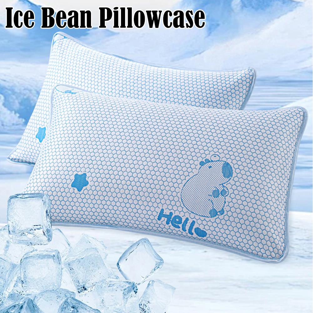 Zomerkoelheid IJs Zijde Kussen - Silk Pillowcase Set recensie en prijs
